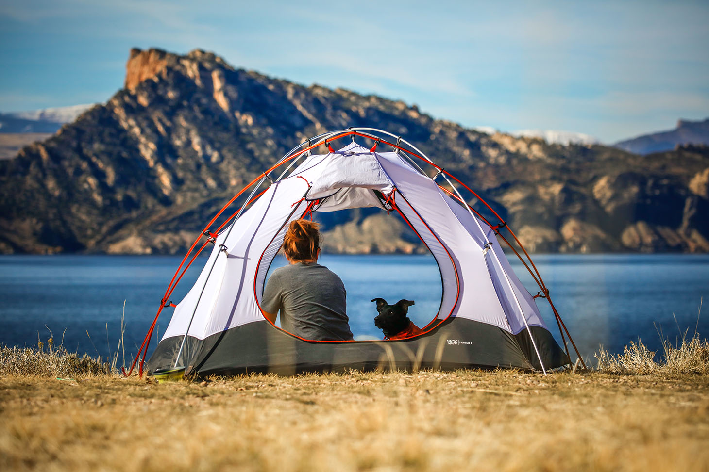 Woman and dog in tent