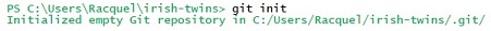 terminal showing git init entry