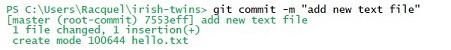 terminal showing git commit -m entry