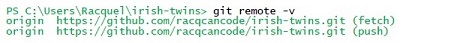 terminal showing git remote -v entry